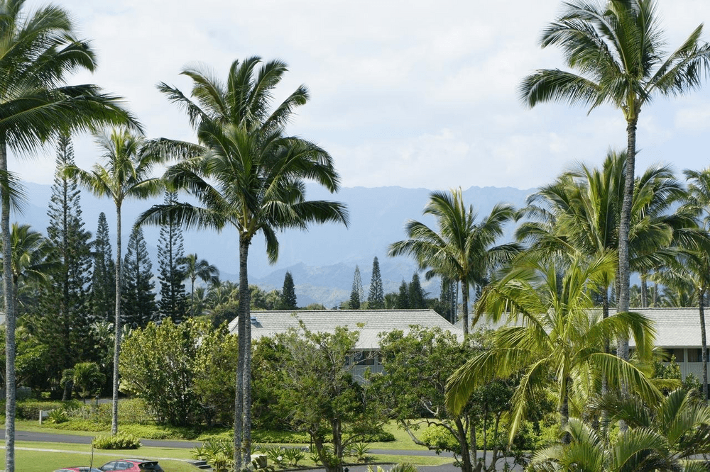Resort Image