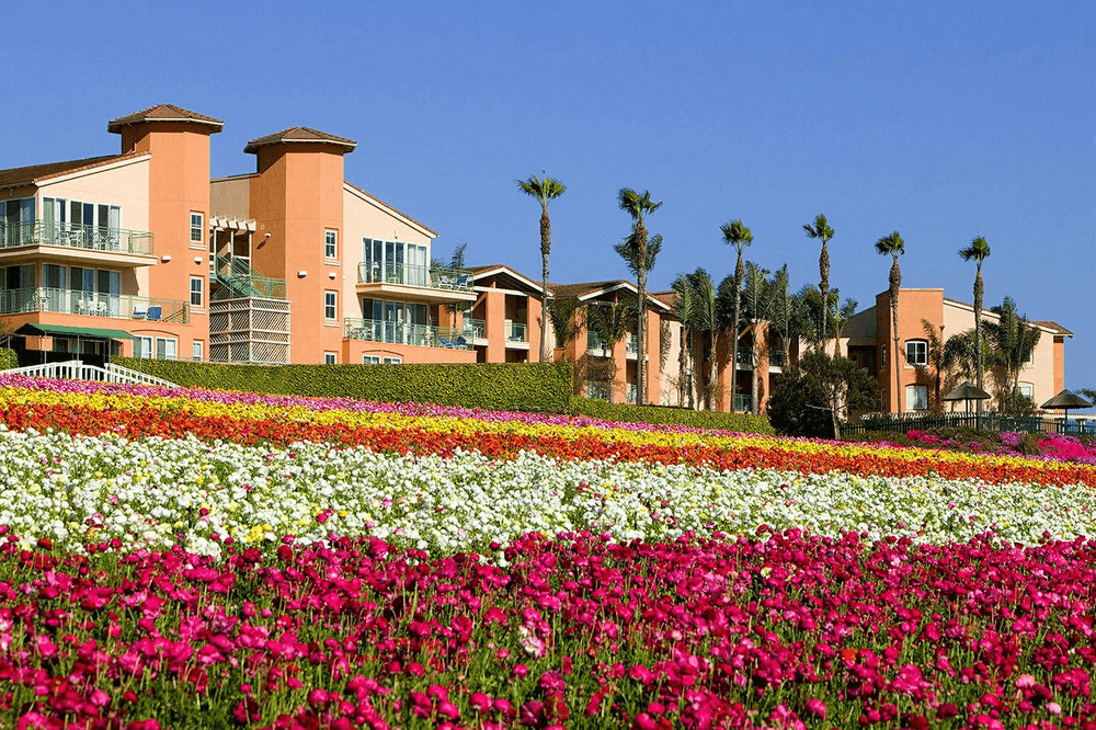 Resort Image