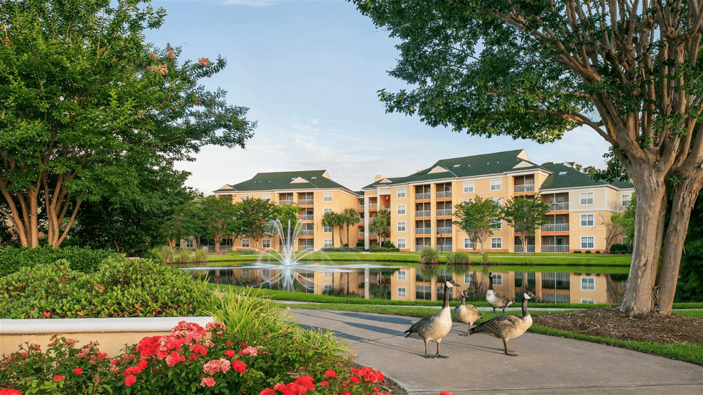 Resort Image