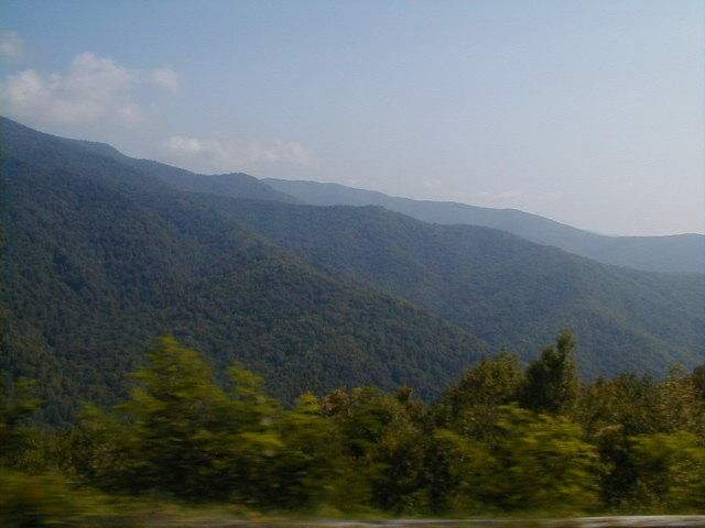 Secondary 2