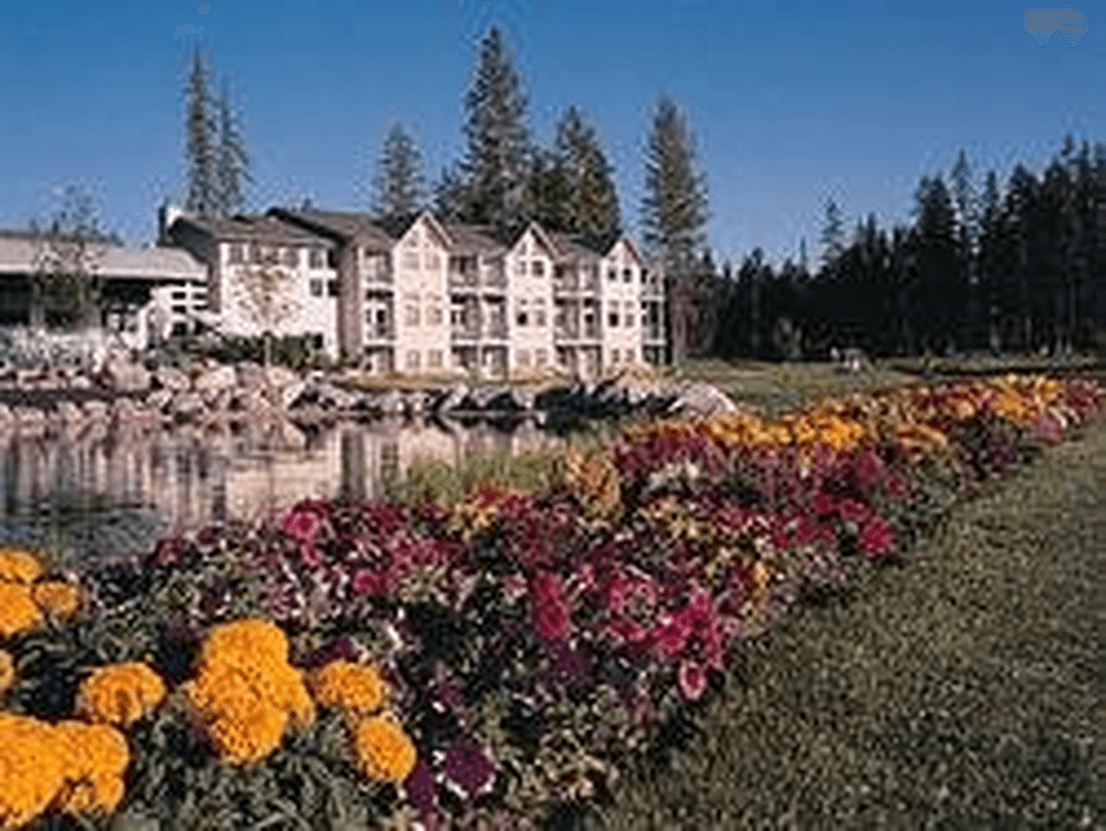 Resort Image