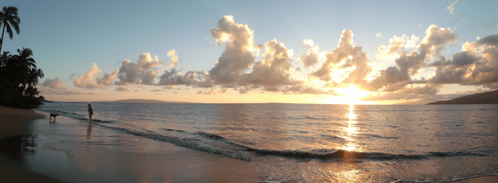 Maui Beach Vacation Club