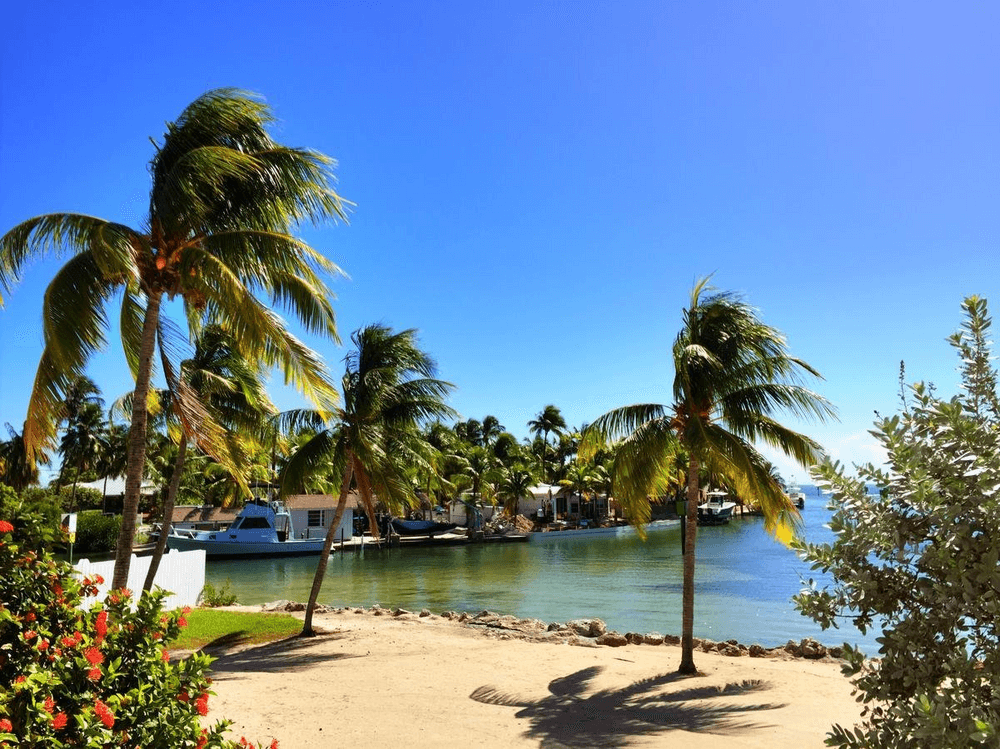 Caloosa Cove Resort